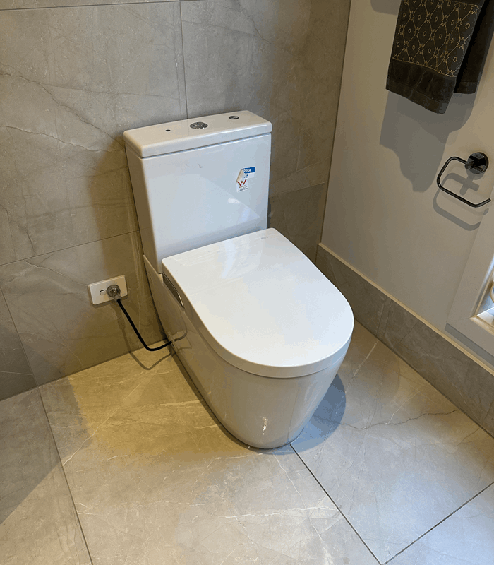 Toilet Repairs